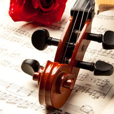 Схема вышивки «Скрипка»