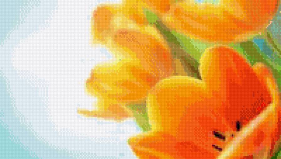 тюльпаны - весна, тюльпаны, цветы - предпросмотр