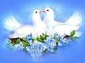 для девичьего щастья - любовь, голуби - оригинал