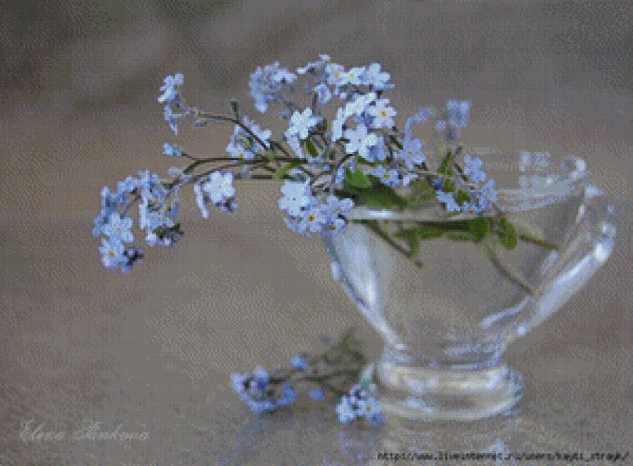 фиалки - предпросмотр