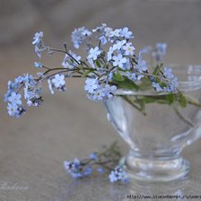 Схема вышивки «фиалки»