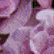 Предпросмотр схемы вышивки «розовые розы» (№866103)