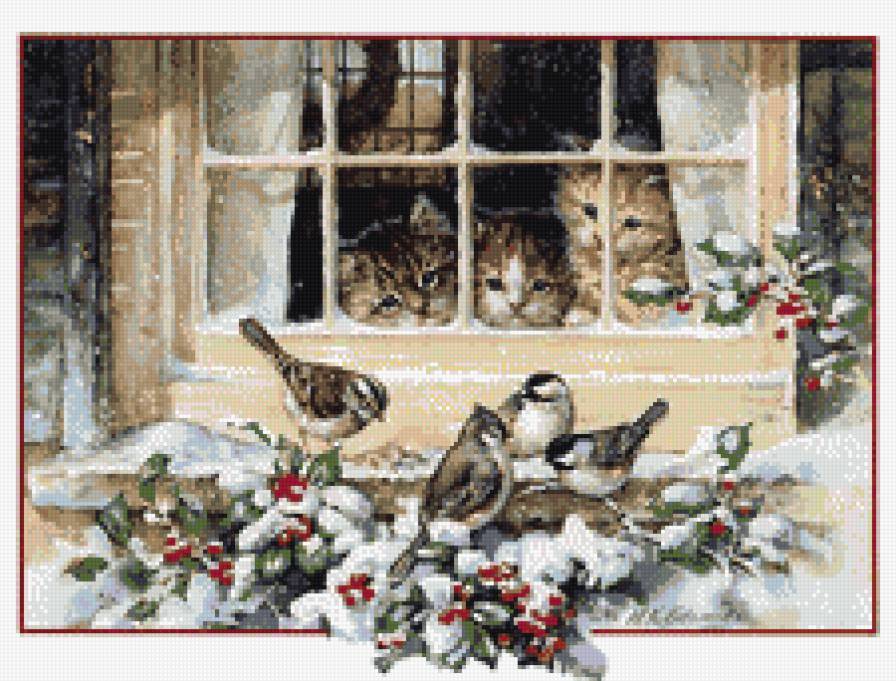 Котята - предпросмотр