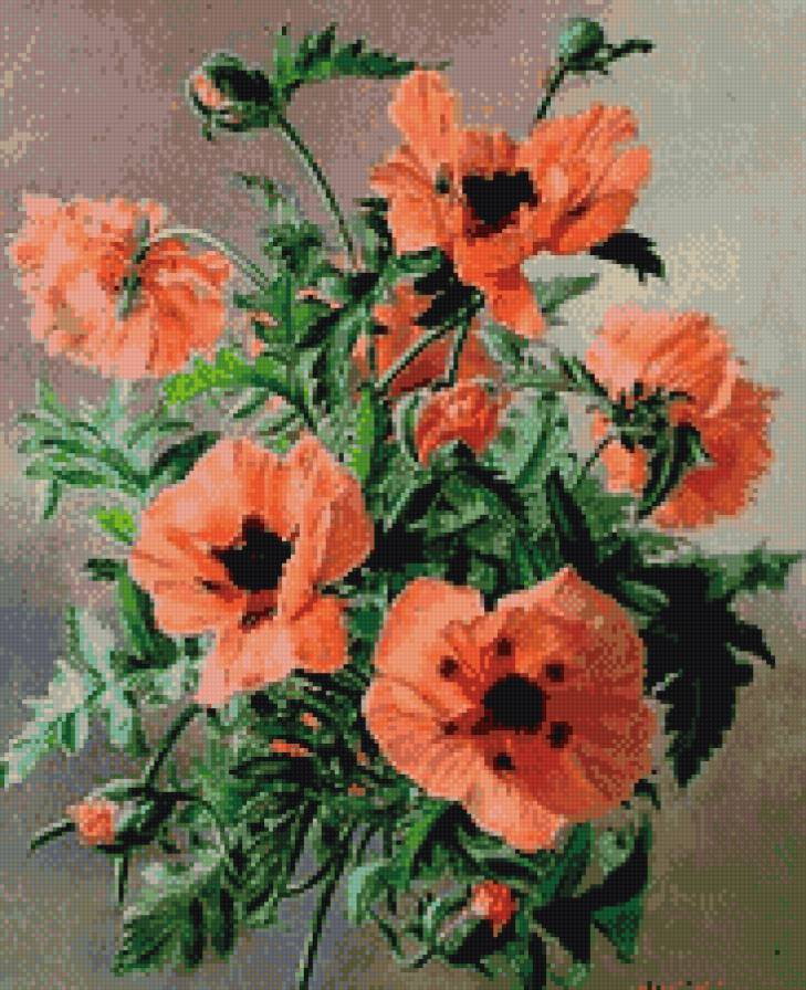 маки5 - предпросмотр