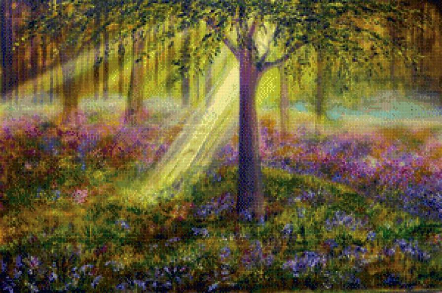 Утренний лес - деревья, луч света, утро, лес - предпросмотр