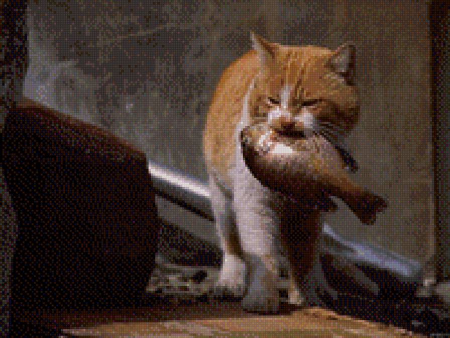 рыбак - кот, животные - предпросмотр