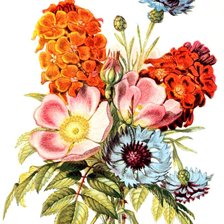 Оригинал схемы вышивки «букет цветов» (№866515)