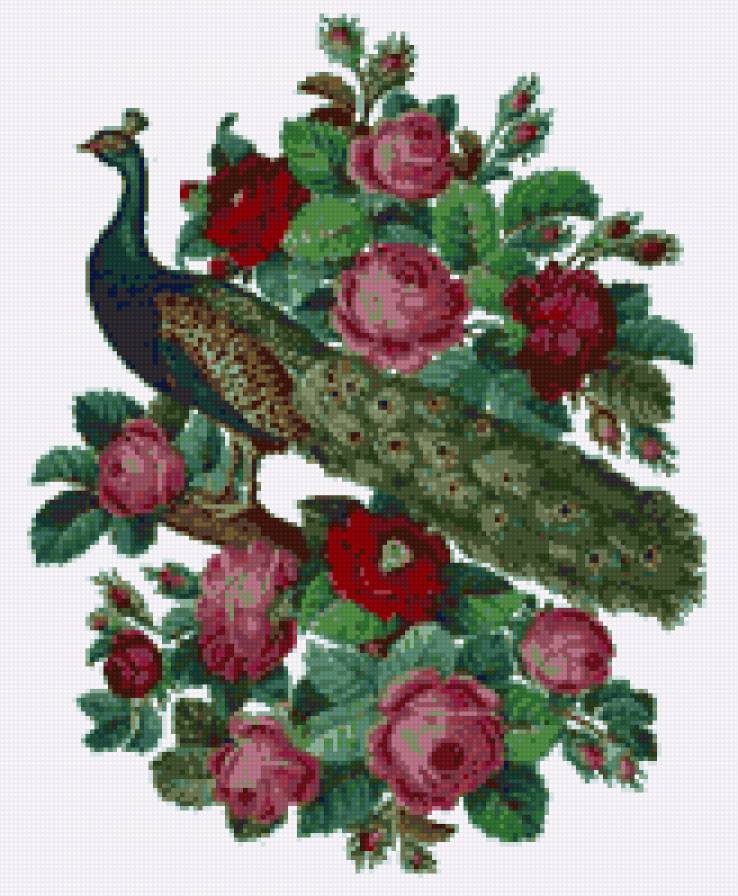 beautiful - предпросмотр