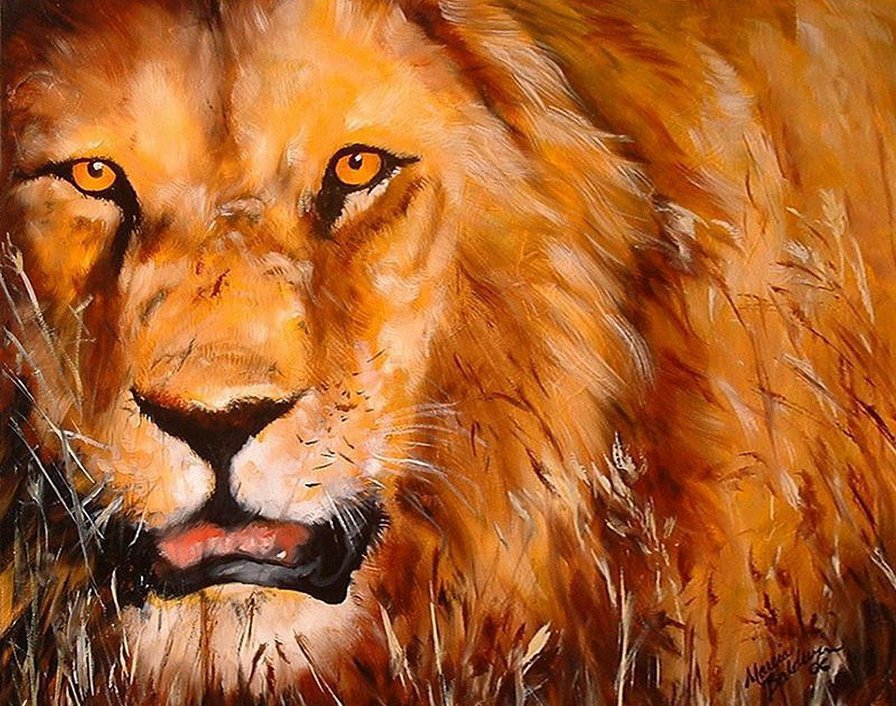 Царь зверей Marcia Baldwin - картины маслом, кошки, лев, marcia baldwin - оригинал