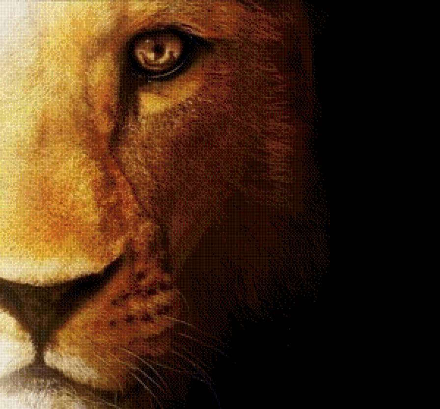 царь - лев, царь зверей, большие кошки - предпросмотр