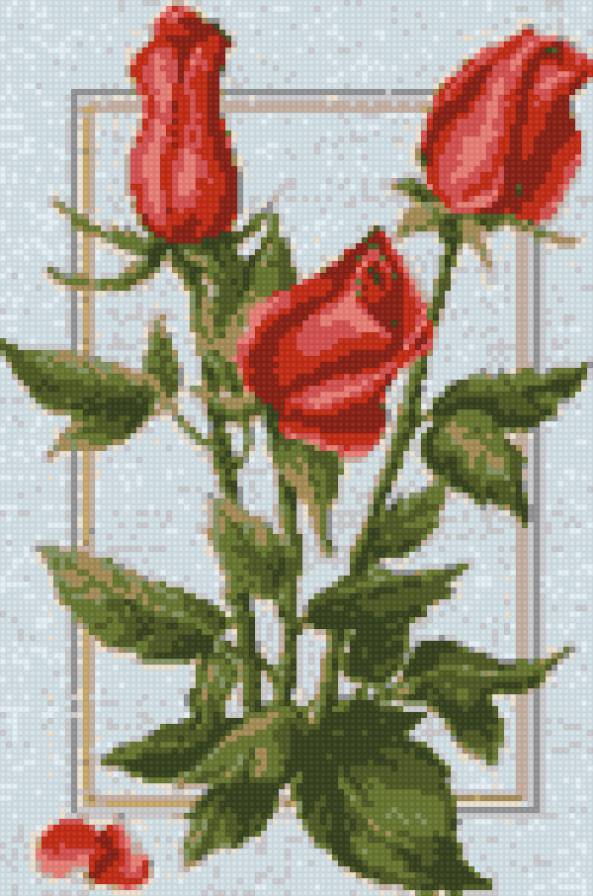 розочки - цветы.розы - предпросмотр