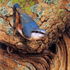 Схема вышивки «№866686»