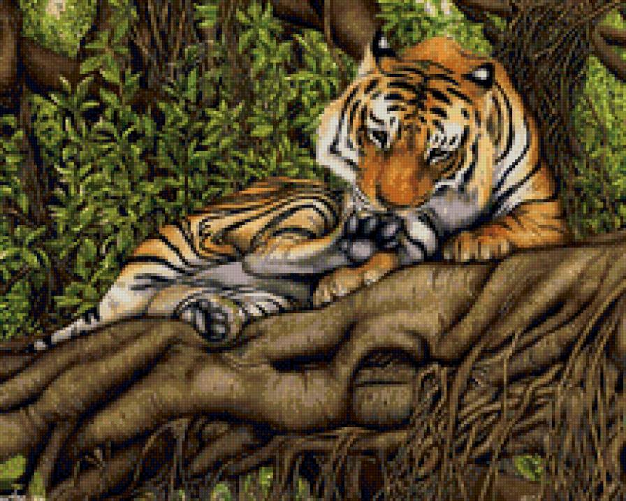 тигр - кошки, тигр, природа, хищник - предпросмотр