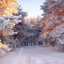 Схема вышивки «№ 24»