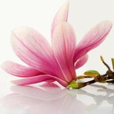 Схема вышивки «цветок»