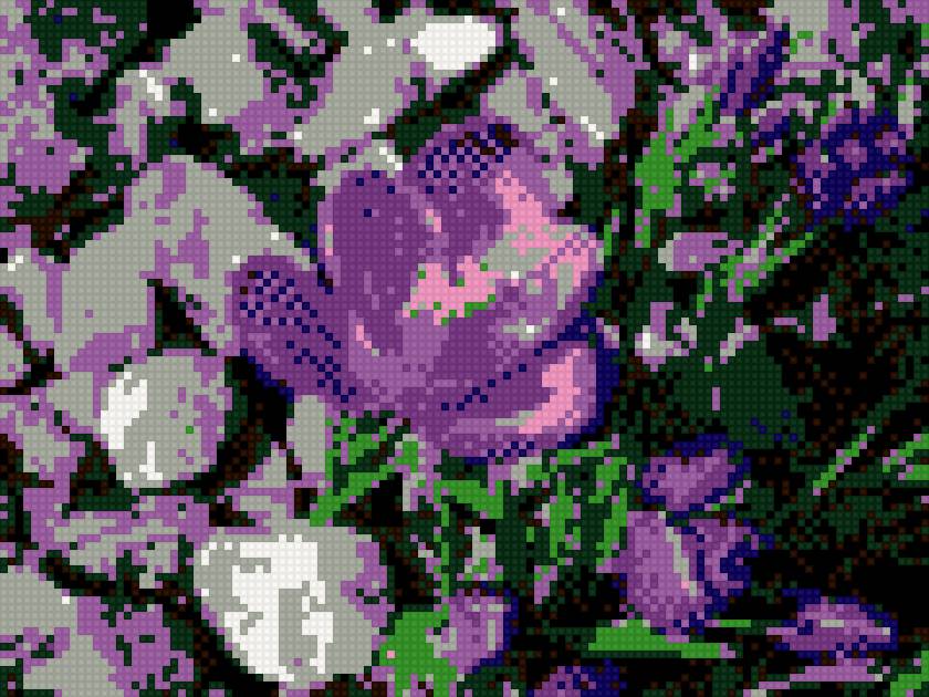 цветы - предпросмотр