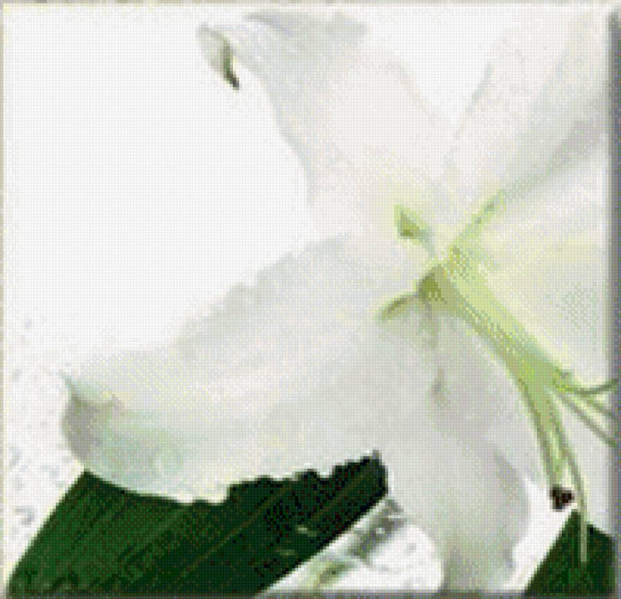 триптих лилия - предпросмотр