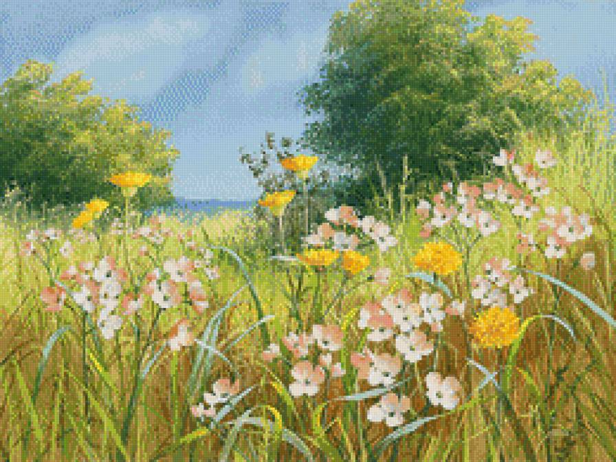 цветочная поляна - пейзаж, цветы, природа - предпросмотр