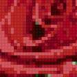 Предпросмотр схемы вышивки «роза» (№867228)