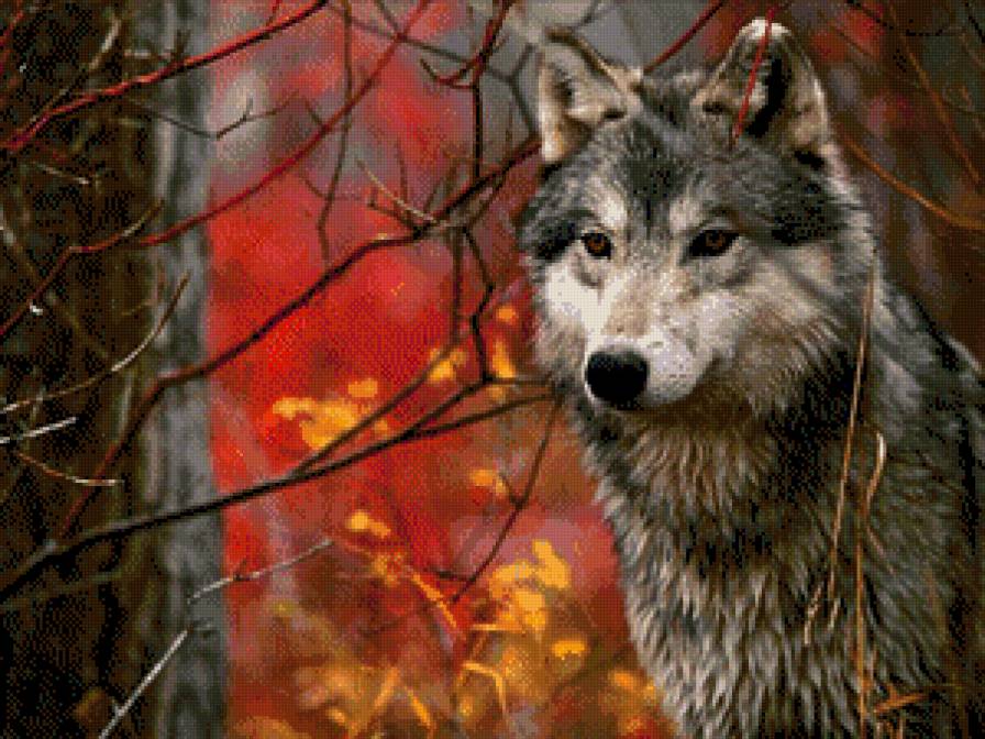 в осеннем лесу - предпросмотр