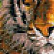 Предпросмотр схемы вышивки «тигр  на  камнях» (№867478)