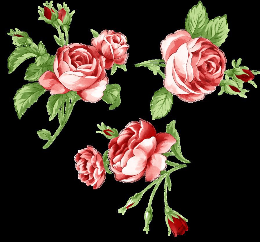 розочки - цветы.розы - оригинал