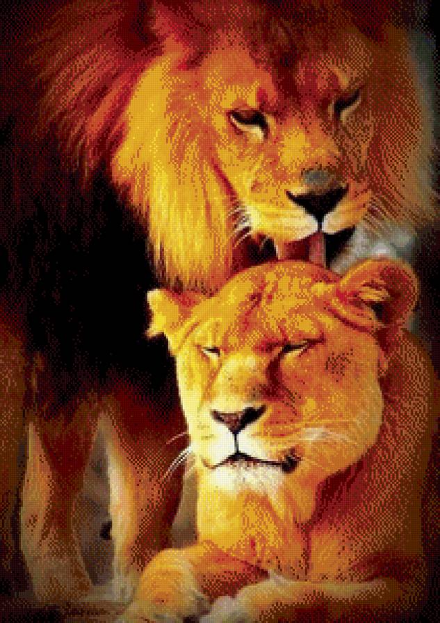 Лев - нежность, животные, лев, кошки - предпросмотр