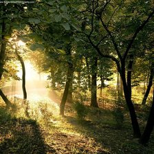 Схема вышивки «Пейзаж»