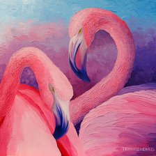 розовые фламинго