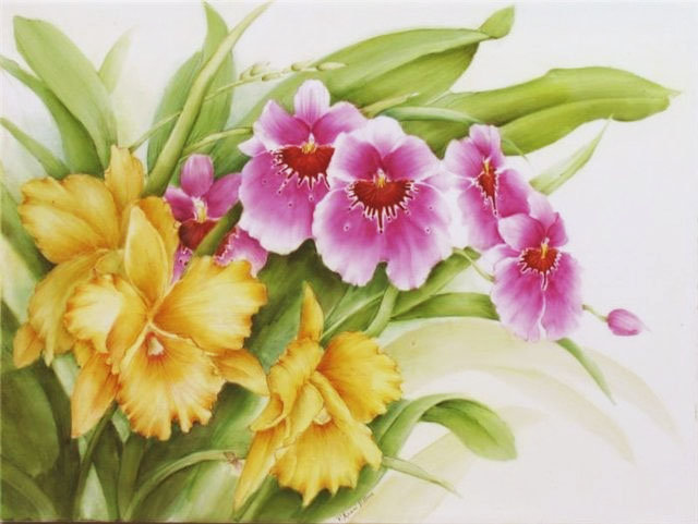 Цветы - ирисы, орхидеи - оригинал