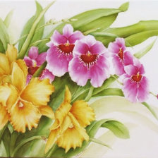 Схема вышивки «Цветы»