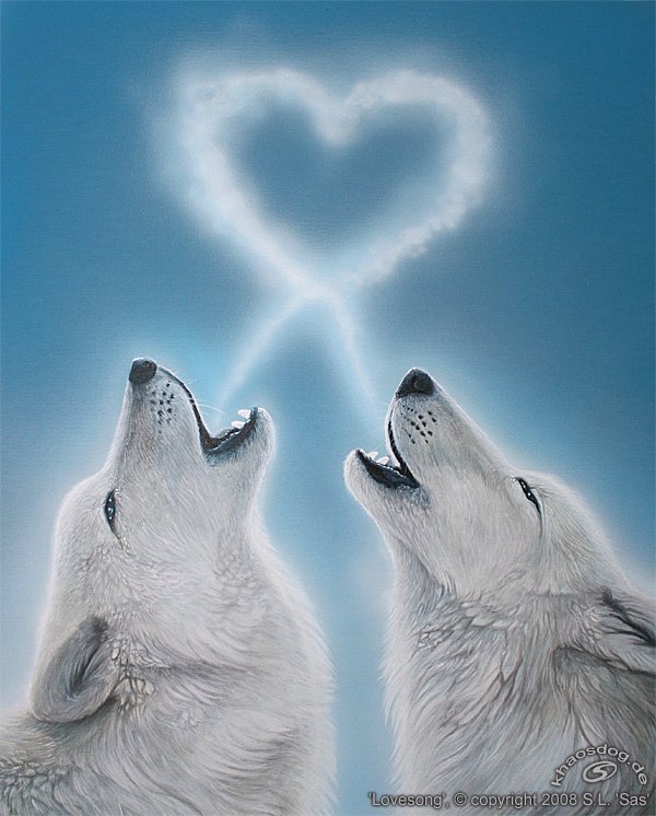 Волчья любовь - волки, сердце - оригинал