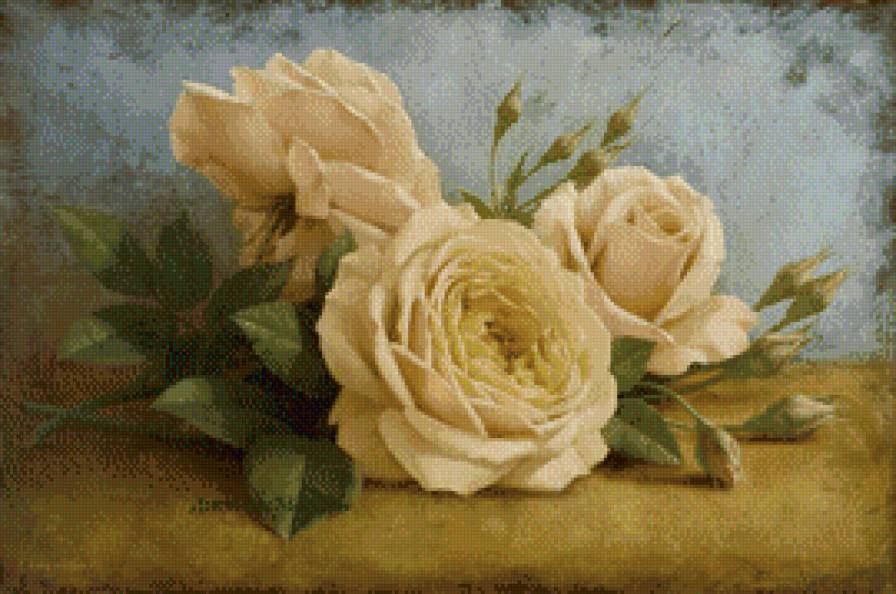 роза желтая - роза, цветы, желтая роза. - предпросмотр