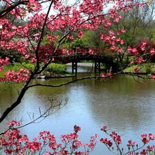 Схема вышивки «Весеннее цветение»