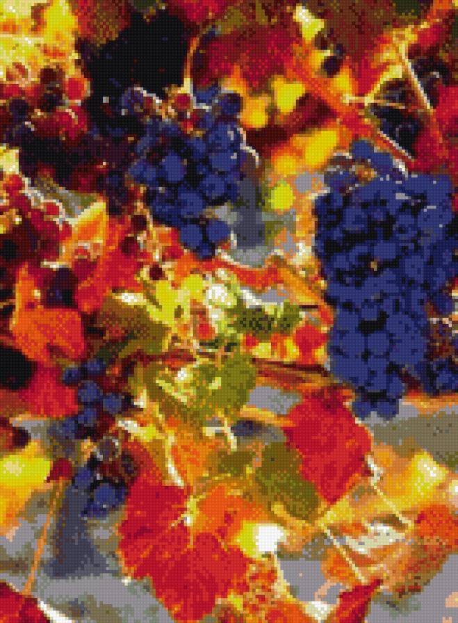 гілка винограду - предпросмотр