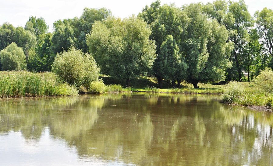 укр - оригинал