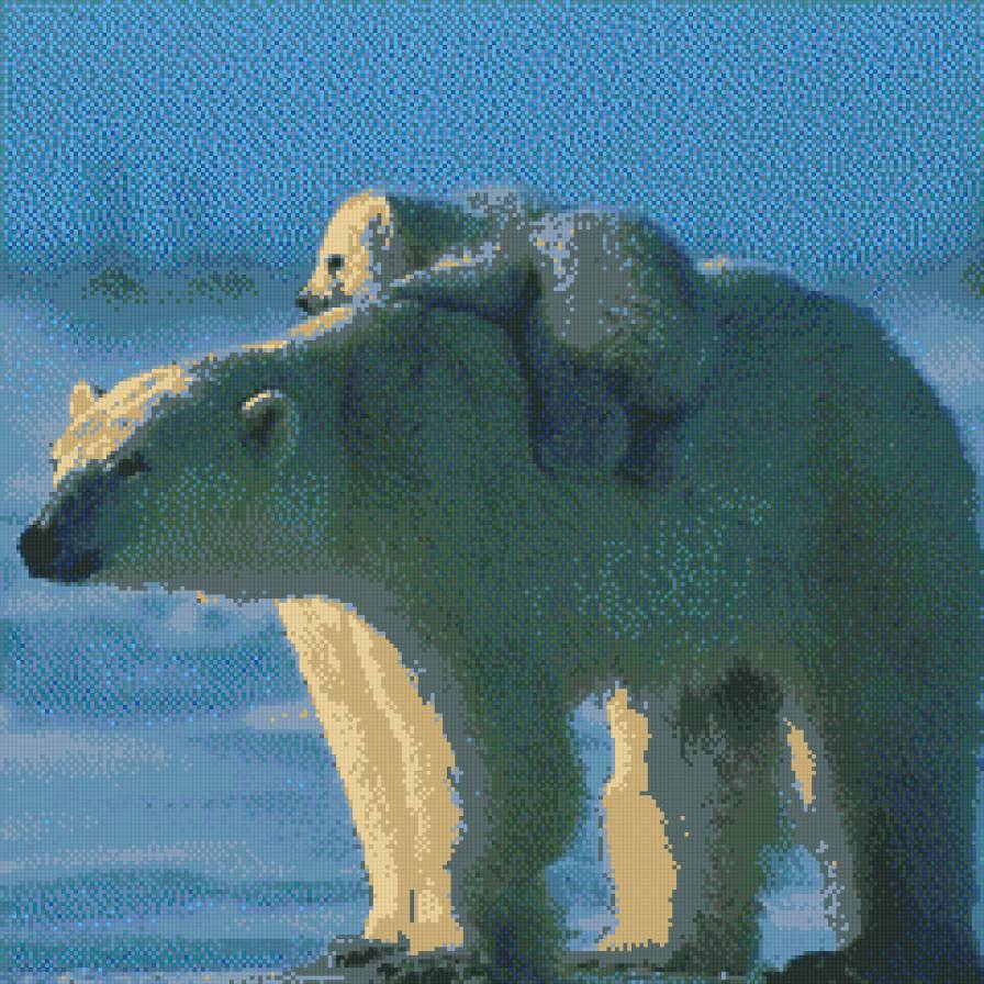 Белый медвежонок с мамой - белый медвежонок с мамой - предпросмотр
