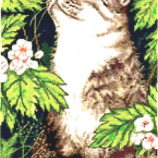 Наблюдатель