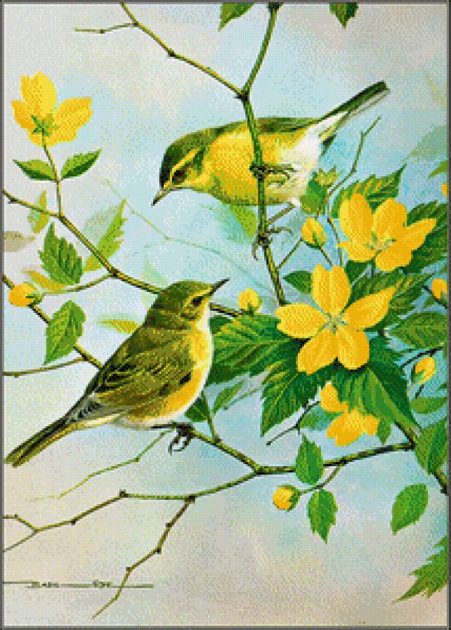 №868838 - птицы - предпросмотр