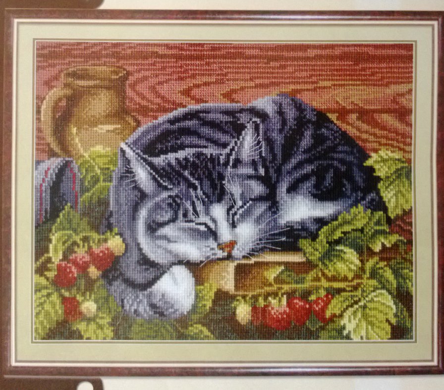 Кот - кот, животные, кошка - оригинал