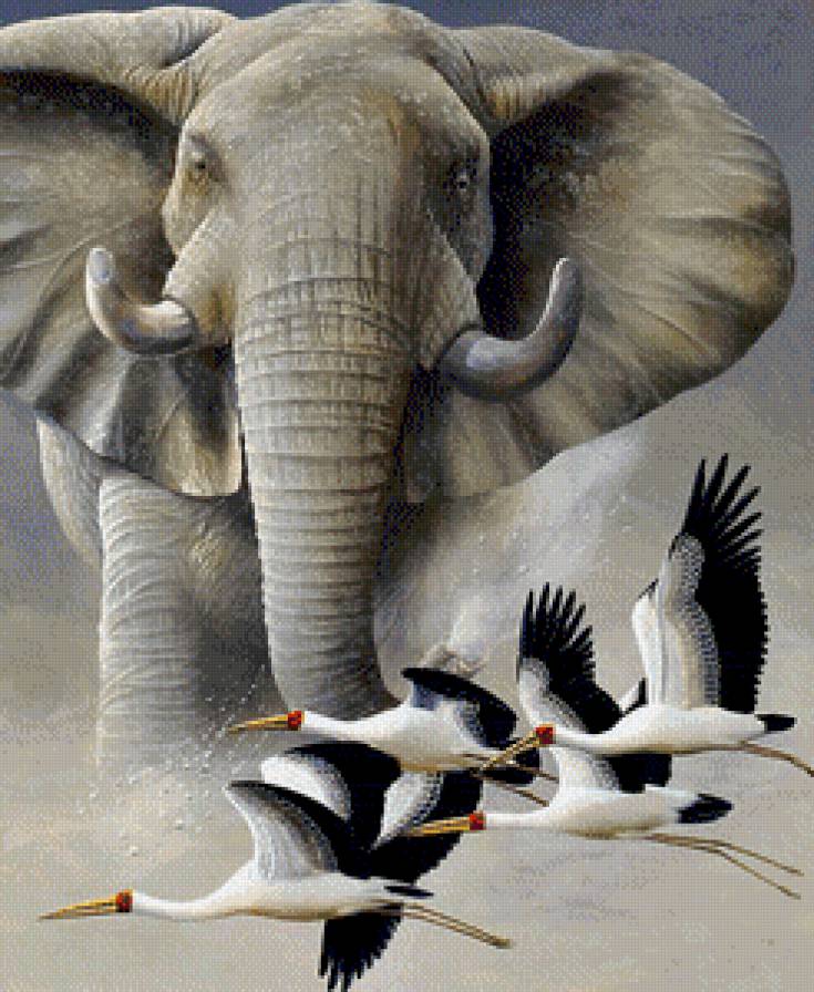 слон 2 (темнее) - предпросмотр