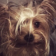 Схема вышивки «Штрюдель»