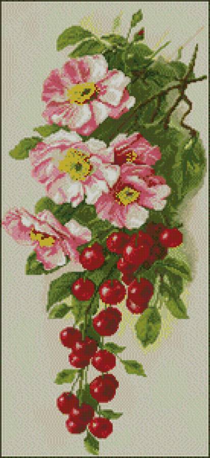 вишенки - предпросмотр