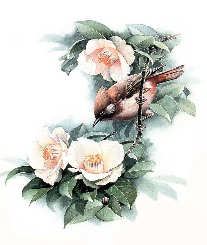Птица на ветке - цветы, птицы - оригинал