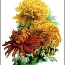 Схема вышивки «Цветы»