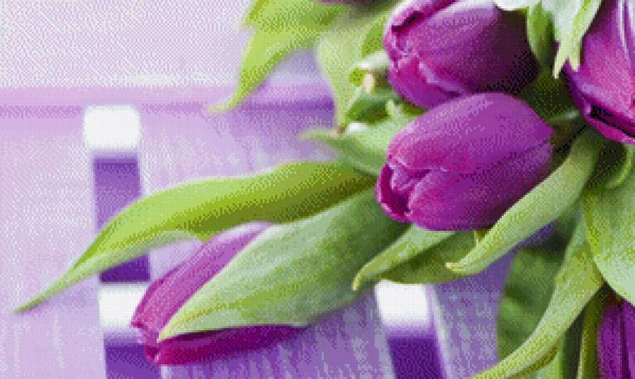 Фиолетовые тюльпаны - предпросмотр