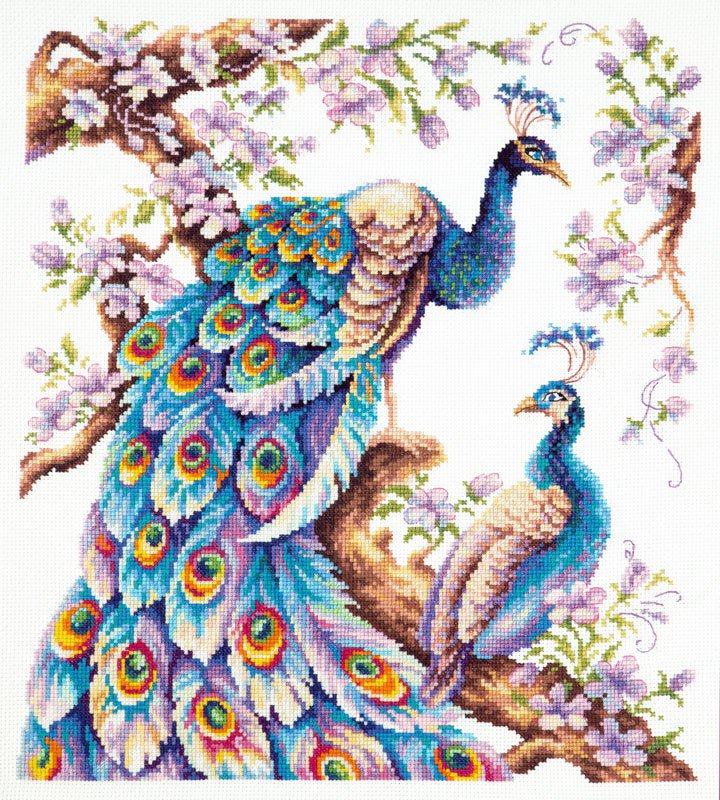 Павлины - павлин, птицы - оригинал