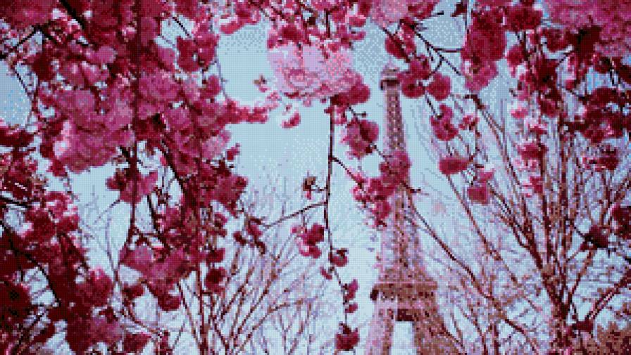 Весна в Париже - цветы - предпросмотр