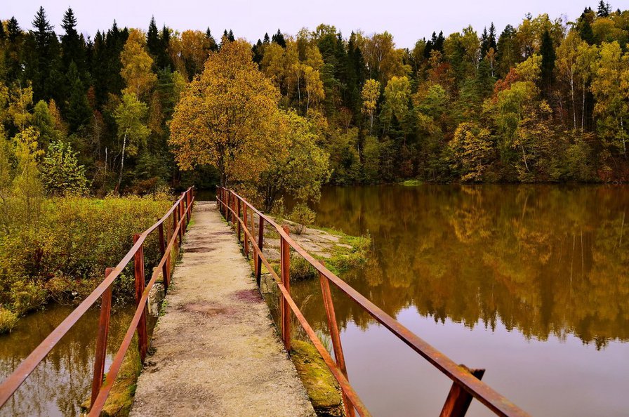 Мост - берег, лес, река, мост, природа - оригинал
