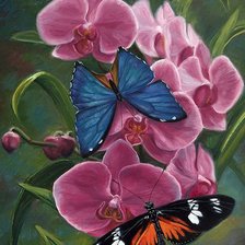 Схема вышивки «орхидея»